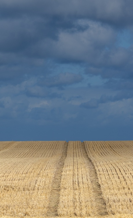 Lijnen in het landschap