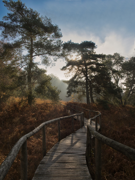 Als eindelijk de zon door de mist schijnt....