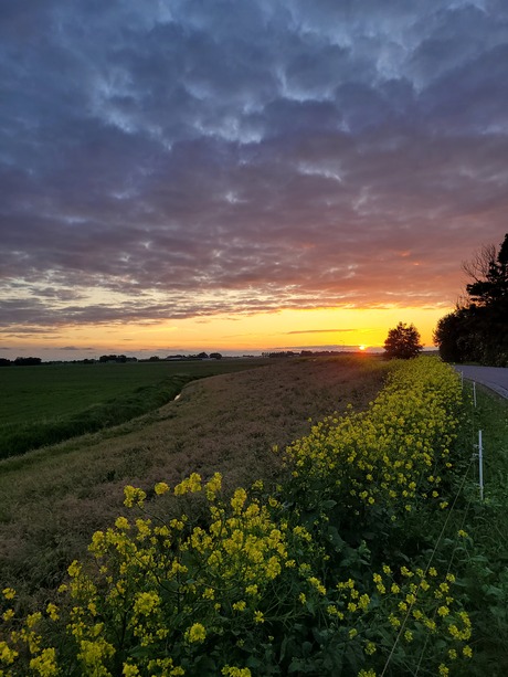 Lente zonsondergang 