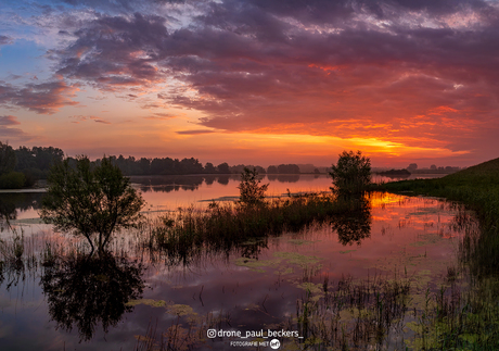 De natuur op zijn mooist. nabij Nijmegen 