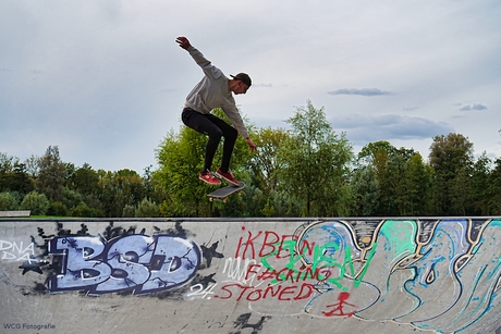 Stoned Skater