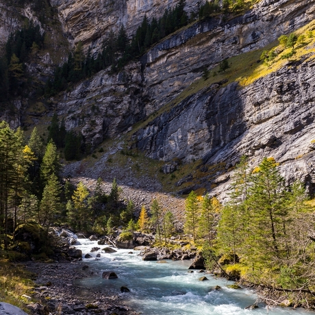 Gasterntal Zwitserland