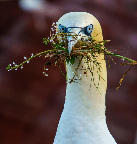 neem vaker een bloemetje mee