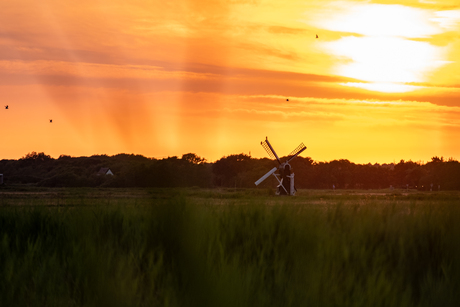 Molen op Texel