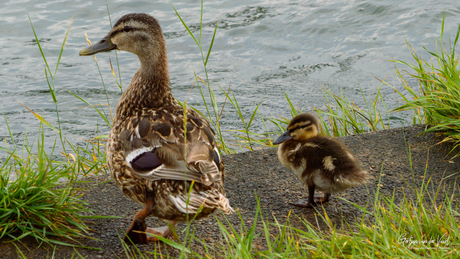 "𝑴𝒐𝒕𝒉𝒆𝒓 𝒂𝒏𝒅 𝒄𝒉𝒊𝒍𝒅"