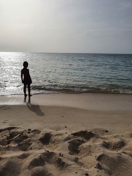 De wereld aan je voeten op Jamaica. Op avontuur! 