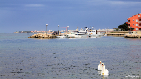 Zadar