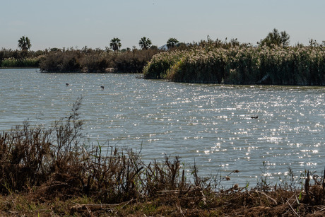 Parc Natural "El Fondo"