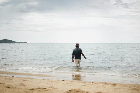 Vissen bij de horizon