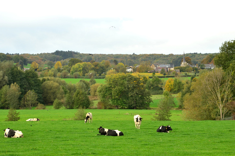 Landschap Limburg