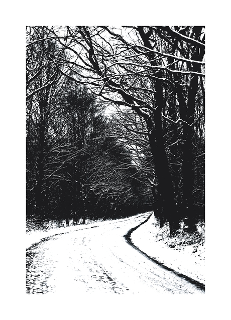 Winter op de Driepaal.