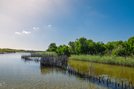 Zuid Africa, Kosi Bay
