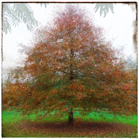 Blaadjes vallen dadelijk weer