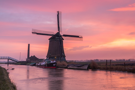 Kaagmolen onder roze deken