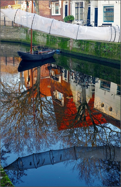 Als een vis(je) in het water.......