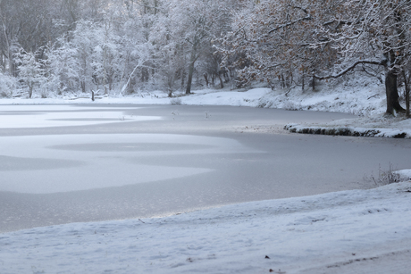 Een witte wereld