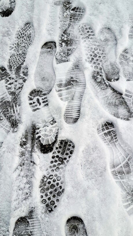 Sporen in de sneeuw