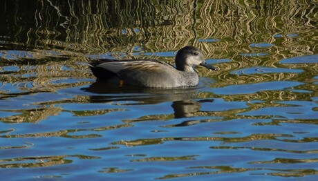 toch wel een beetje apart....vindt u ook niet