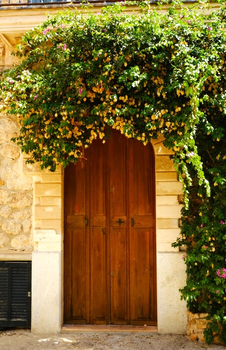 Spaanse deur