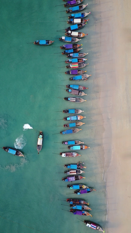 High Tides and Good Vibes