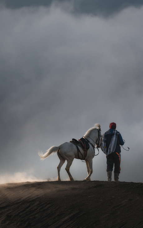 Bromo horses 