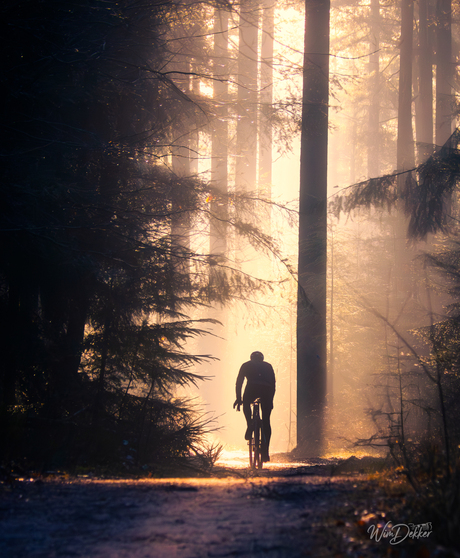 Hoe sterk is de eenzame fietser