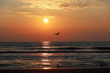 Zonsondergang Noordwijk aan Zee