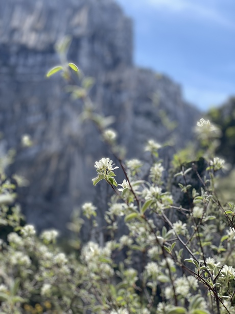 Gorges du Verdon