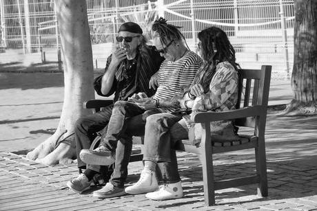 Samen