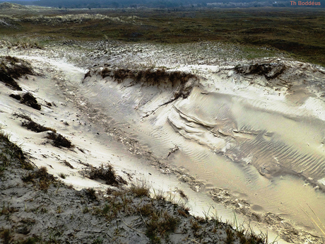 1504250377mnw duinlandschap
