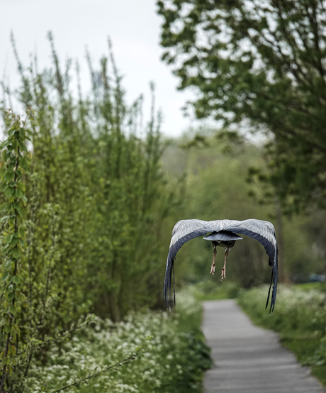 "De paden op, de lanen in"