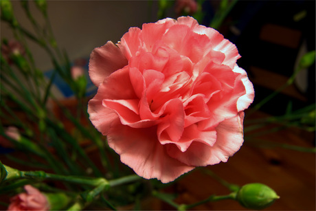 Anjer