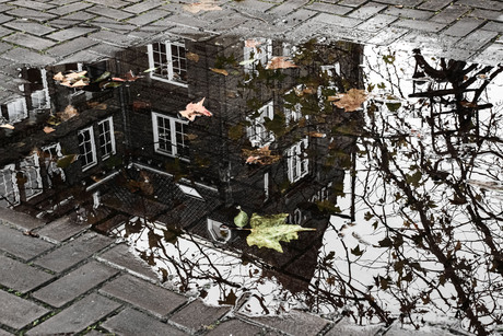 Reflectie