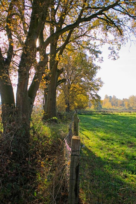 Herfstbeeld rondom Meerlo, Limburg.