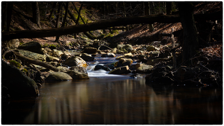 De natuur op zijn best