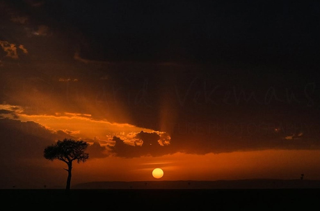 Sunrise Masai Mara