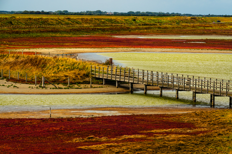 "Where the land paints itself"