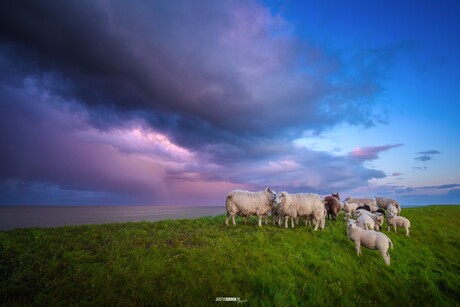 Buien boven de Waddenzee.