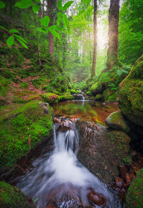 Watervalletjes in het magische Zwarte Woud
