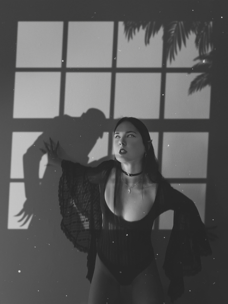 The visitor