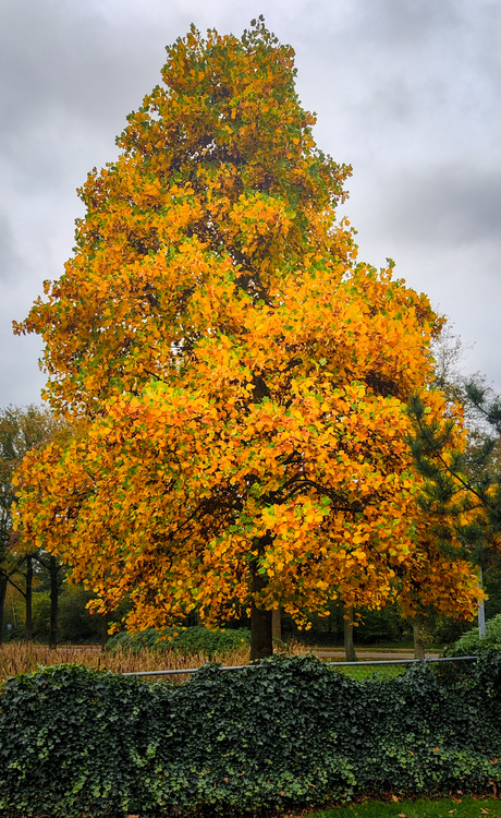 Herfst