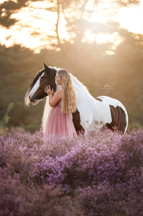 Heide shoot met Golden Hour