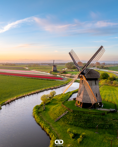 Goedemorgen wat een prachtig licht schijnt er over de tulpenvelden