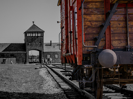 Birkenau