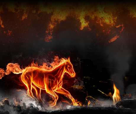 Fire Horse