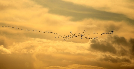 Mee eens............