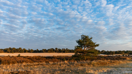 Brabantse Sahara