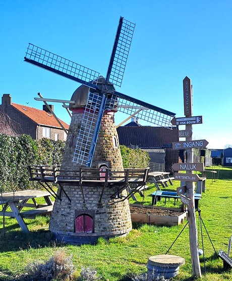 20260214  143518   Mini Molentje  op Pk Terrein  14 feb 2-26  