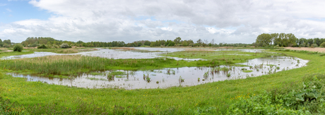 Kromslootpark  Almere
