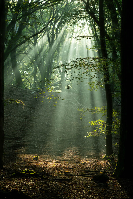 Licht uit, spot aan